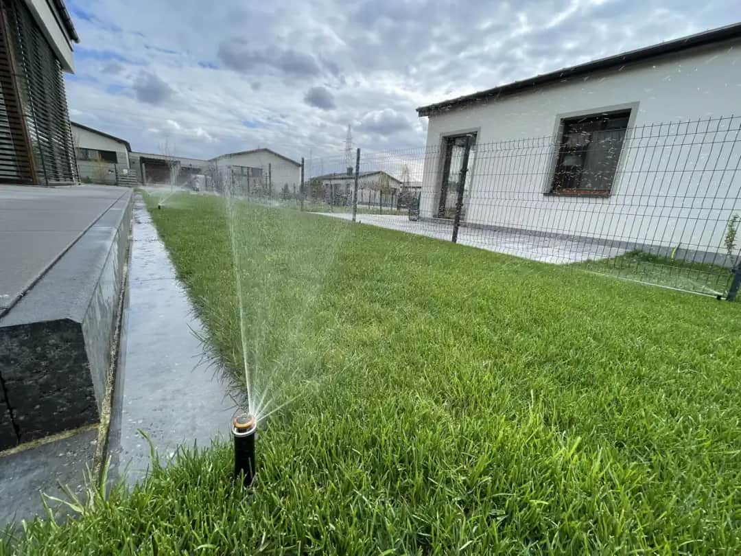 Profesjonalne nawadnianie ogrodu krok po kroku bez zbędnych kosztów i błędów