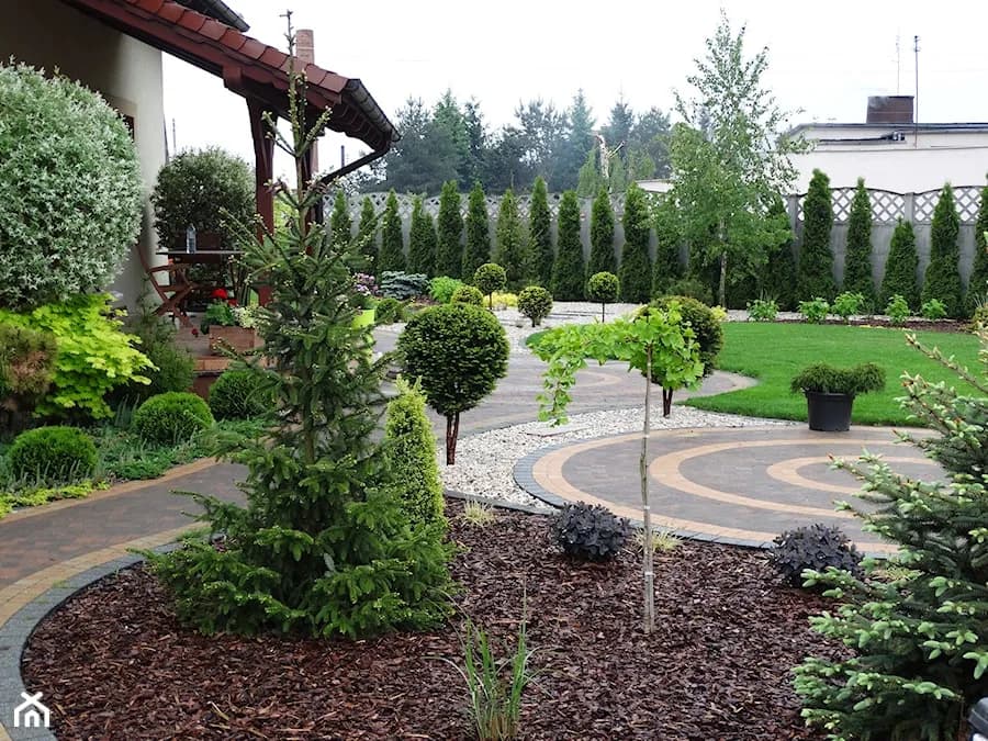 Piękne drzewka ozdobne do ogrodu: Które wybierzesz dla siebie?