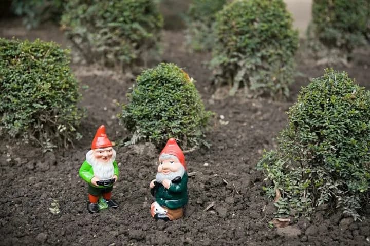 Prosty sposób na urokliwego skrzata do ogrodu bez wydawania fortuny
