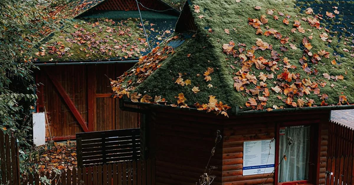 Jak serial "Ranczo" zmienił postrzeganie polskiej wsi?