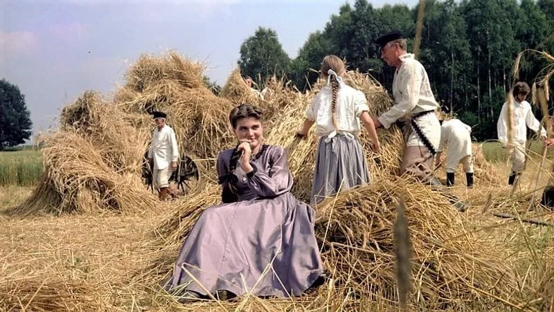 Filmy o wsi: Jak zmieniły obraz polskiej prowincji?