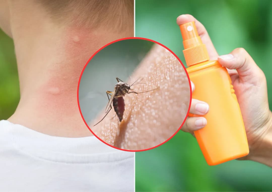 Skuteczne sposoby na komary w ogrodzie. Zaskakujące metody odstraszania