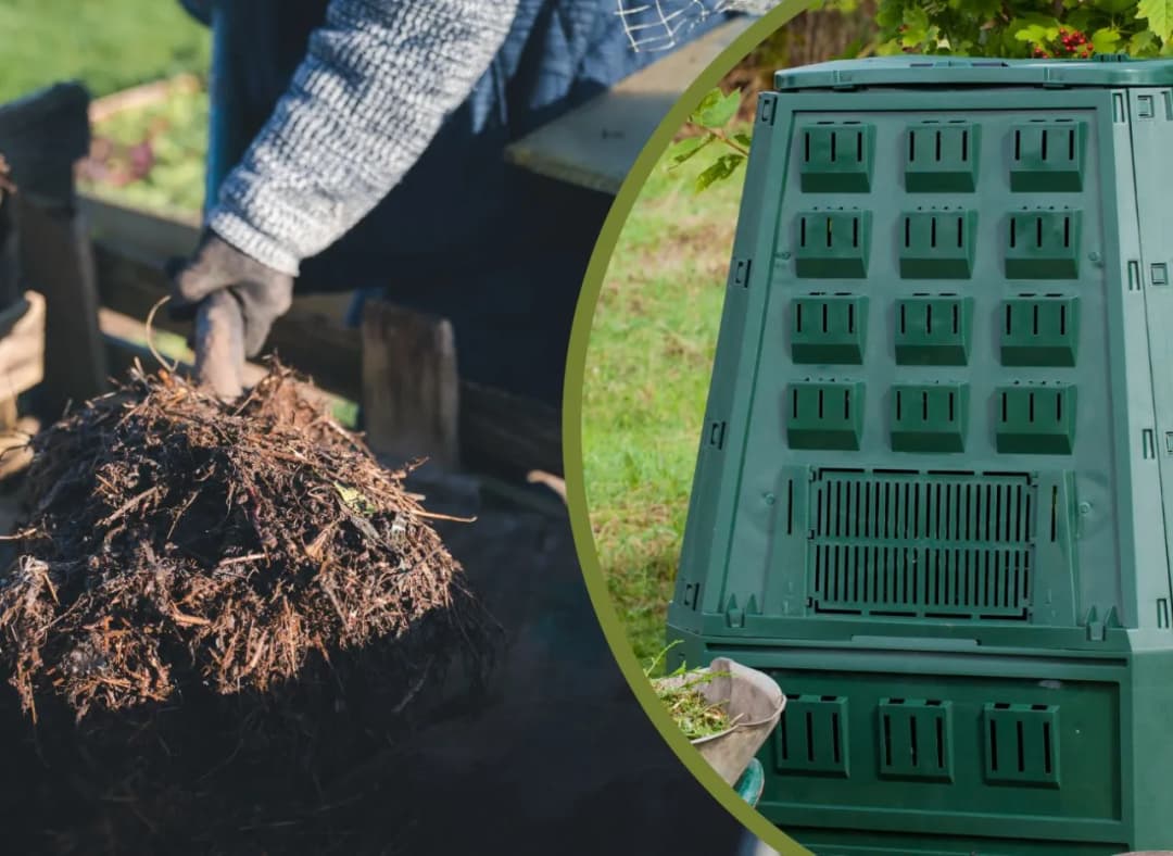 Kompostowanie igliwia - praktyczny poradnik dla zaawansowanych ogrodników