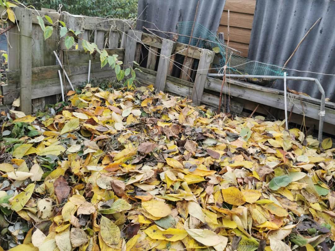 Skuteczne sposoby, czym przykryć kompost na zimę, aby go ochronić