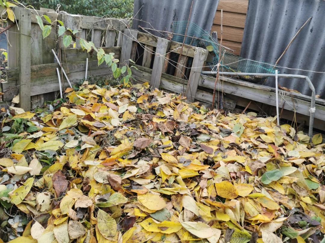 Skuteczne sposoby, czym przykryć kompost na zimę, aby go ochronić