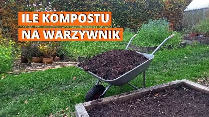 Jaki kompost pod warzywa jest najlepszy? Zaskakujące właściwości i zastosowanie.