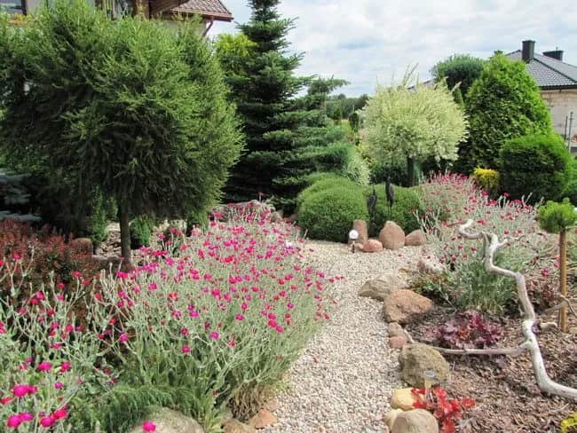 Jak zgłosić się do konkursu ogrodowego? Uniknij tych błędów!