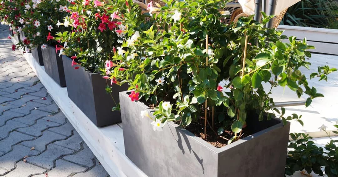 Jak układać gazony ogrodowe, aby uniknąć błędów i cieszyć się pięknem