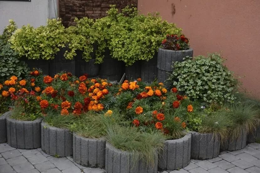 Profesjonalne gazony w ogrodzie: Prosty sposób na piękną przestrzeń zieloną