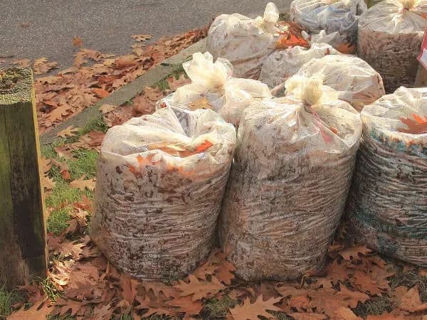 Jak zrobić kompost w workach - prosty sposób na ekologiczny nawóz ogrodowy